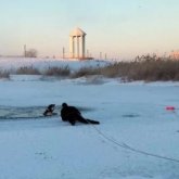 Астанада итін құтқармақ болған әйел Есілге құлап кетті