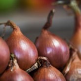 Пияз артқан 2 жүк көлігі Ресей аспақ болған