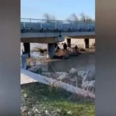 Арыс өзеніне 4 жасар қыз ағып кетті