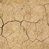 Еліміздің бірнеше өңірінде құрғақшылық болуы мүмкін