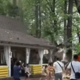 Алматыда тағы бір дәмхананың жазғы алаңына ағаш құлады (ВИДЕО)