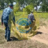 Абай облысындағы өрт кезінде жоғалып кеткен тракторшының денесі табылды