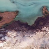 Балқаш көлінің маңында 9 мың гектарға жуық аумақ өртеніп кетті