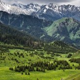 «Алматының таулары да біреулердің меншігіне өтіп кеткен» – Бақытжан Базарбек