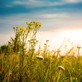 Елімізде шілде айы қалай басталады