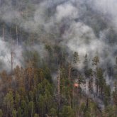 Ресейде орман өрті қайта басталды