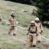 «Ертіс-Орманы» орманшылығында өрт шықты