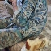 Шымкентте 95 жастағы соғыс ардагері жәндік жайлаған лас пәтерде тұрып жатыр (ВИДЕО)