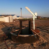 Шошқа фермасындағы жұмысшылар өлімі: полиция алдын ала себебін айтты