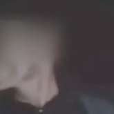 Жамбыл облысының тұрғыны құмар ойынға құнығып, өз ауылының малын ұрлаған