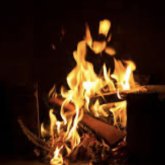 Даниядағы белсенділер Құран кітабын тағы өртеді