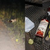 Абай облысында жолдың бойынан ер адамның мәйіті табылды