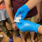 Алматыда полицейлер «синтетика» сатқан интернет-дүкеннің әкімшісін ұстады