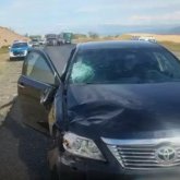 «Алматы-Өскемен» трассасында жол белгісін салып жатқан жұмысшыны көлік қағып өлтірді