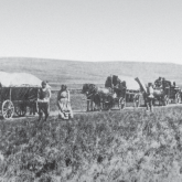 Дүнген мен ұйғырдың қазақ жеріне қоныстану тарихы туралы не білеміз?