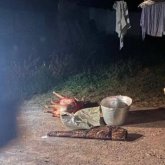 Жетісу облысында елік атқан браконьер ұсталды