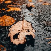 Ауа райы: Синоптиктер 14 өңірде ескерту жасады