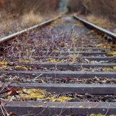 Тоқаев студенттің өліміне қатысты істі өз бақылауына алды