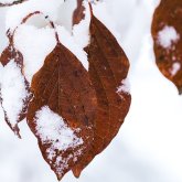 Алдағы үш күнде ел өңірлерінде ауа райы қалай құбылады