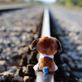 ІІМ «Жүгір немесе өлесің» ойыны туралы мәлімдеме жасады