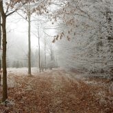 Алдағы уақытта күн суытады