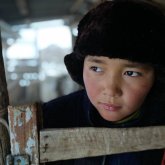 Үш отандық фильм «Азия Оскарын» жеңіп алды