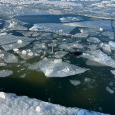 Ақтөбеде жеңіл көлік көлге батып кетті