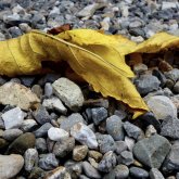 Қостанайда ауыл тұрғыны шұңқырға құлап көз жұмды