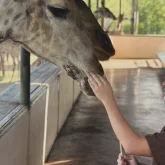 Анасын іздеген Жәнібек туралы Бельгия елшілігінен жауап келді