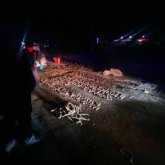 Орал қаласында полиция қызметкерлері шамамен 600 киік мүйізін тәркіледі