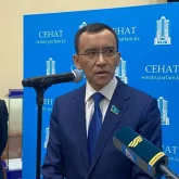 Мәулен Әшімбаев: Ерлерді қорғайтын заңның керегі жоқ