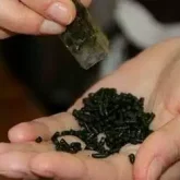 «Бұл не деген масқара»: Тоқаев насыбай салып, түкіріп жүретіндер туралы айтты