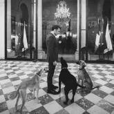 Франция Президентінің қазақы тазылармен түскен суреті жарияланды