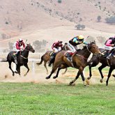 Наурызнама: 20 наурыз – Ұлттық спорт күні