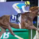 Ертең Кабирхан  Dubai world cup – Әлем кубогында бәйгеге түседі