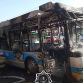 Алматыда жүріп бара жатқан троллейбус өртеніп кетті (ВИДЕО)