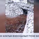 Шымкенттегі  Қошқарата өзені қызыл түске боялды