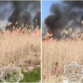 Жамбыл облысында қамыс өртенді (ВИДЕО)