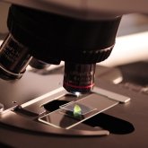 «Телескоп, арнайы қаптама, брикетті көмір»: Жас ғалымдар жетістігімен таңғалдырды (ФОТО)