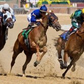 Атырау облысы 54,5 млн теңгеге бәйге өткізбекші