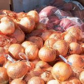 Жетісуда тонналаған пияз сатылмай, далада жатыр