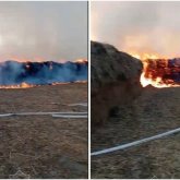 Атырау облысында 250 тонна шөп өртке оранды (ВИДЕО)