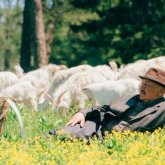 Қытайда шыққан қазақтар жайлы сериал  ең жоғары рейтингке ие болды (ВИДЕО)