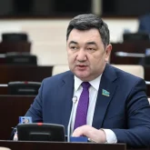 Сенатор: Тұрар Рысқұловты жазған хаты үшін жазғыру – әбестік