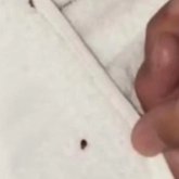 «Денемнің бәрі қышып тұр»: Ақтөбе - Алматы пойызының жолаушыларын қандала шағып тастаған