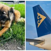 «Бейшара жануар тамақсыз, сусыз қалды»: Air Astana компаниясының салғырттығынан итін жоғалтқан оралдық әйел халықтан көмек сұрады