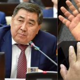 Ермұрат Бапи денсаулығына байланысты елден кеткелі жатыр