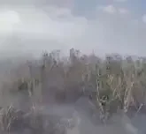 Астанада Талдыкөл маңынан алапат өрт шықты (ВИДЕО)