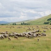 Қазақтың жері қайда? – Депутат билікке сауал қойды