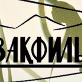 Қазақфильмдегі дау:  «Алтын адам» прокатқа шығарылып, түскен қаржыдан аниматорлардың айлығы төленеді